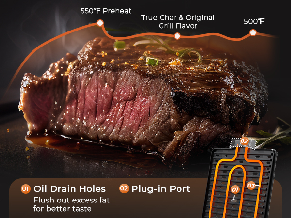 nuwave air fryer toaster oven with grill