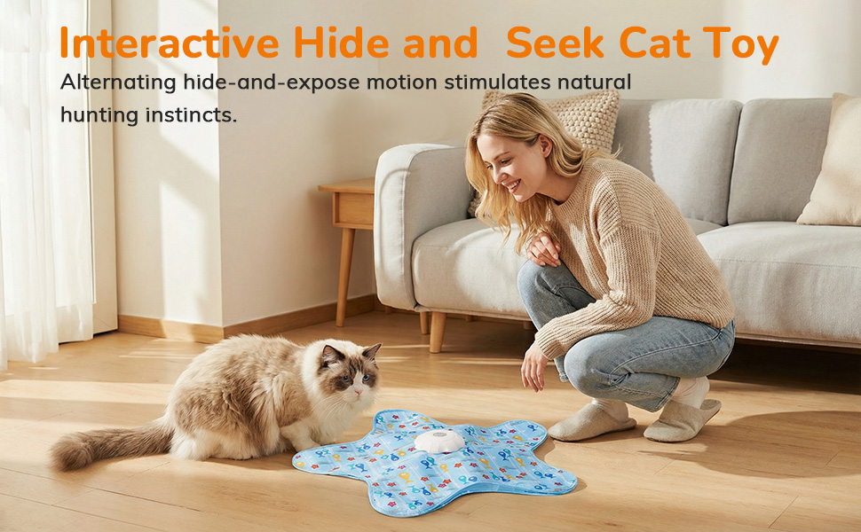 Cat Hunting Toys