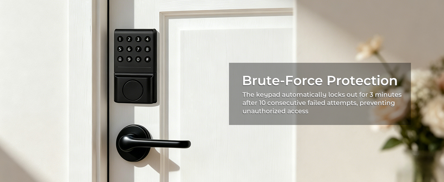Brute-Force Protection