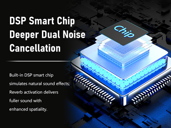 2 Wireless Microphones