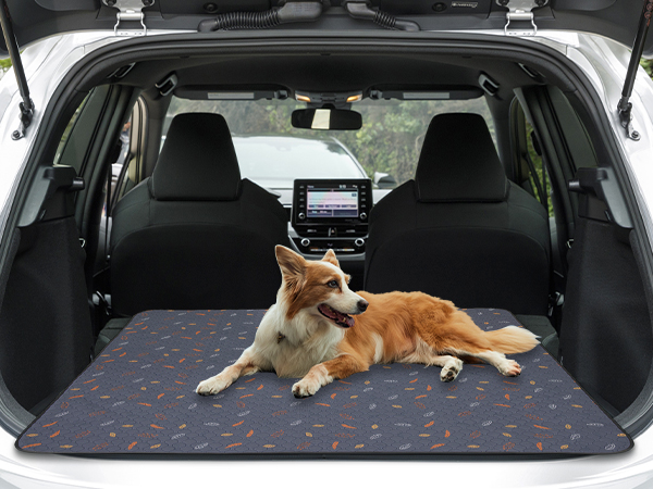 Car Seat Cover