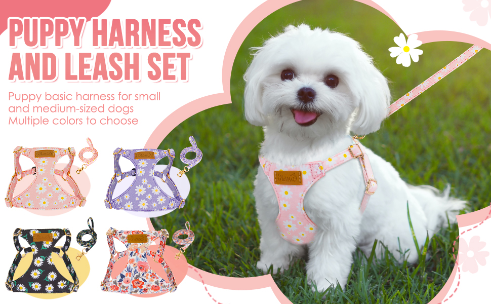 puppy harness