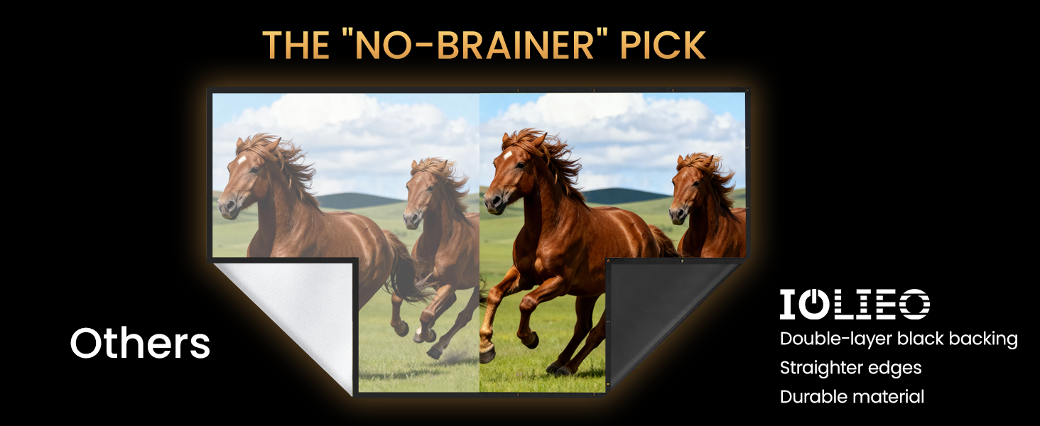 projector screen black backing