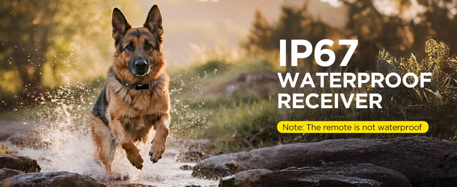 dog shock collar with remote