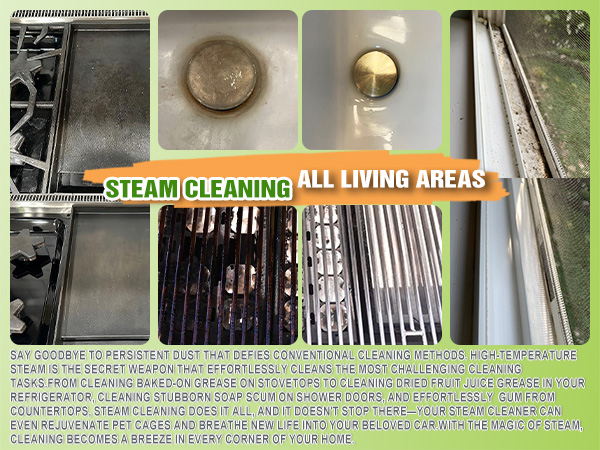 Steam Cleaning All Living Areas