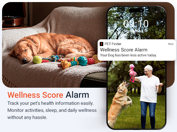 pet gps tracker