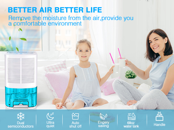 dehumidifier for home