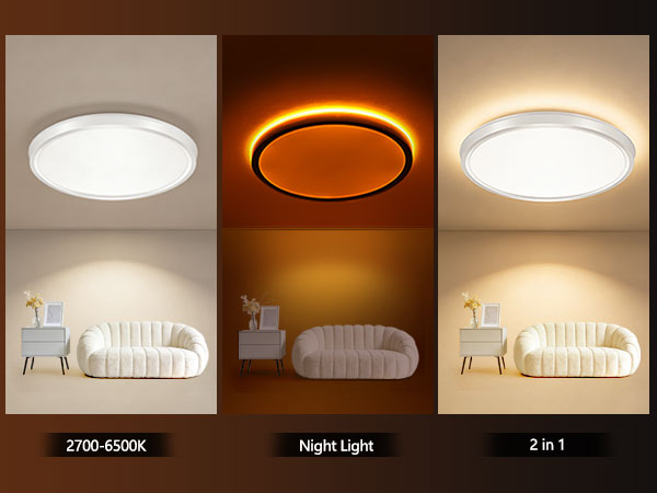 Ceiling Light Fixture