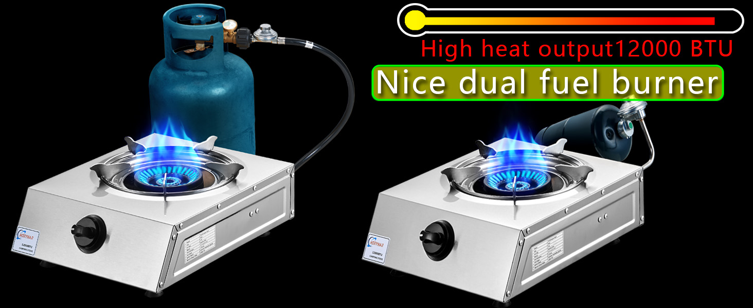 New dual fuel burner