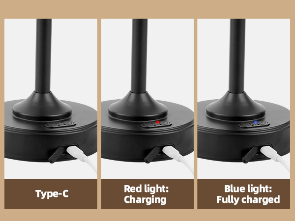 Cordless Table Lamp