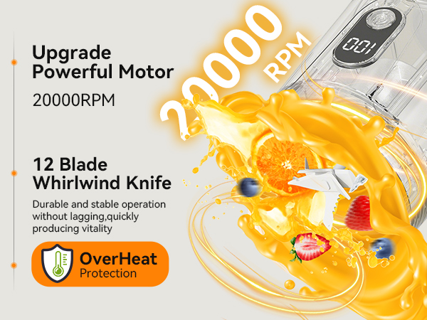 Personal electric juicer2