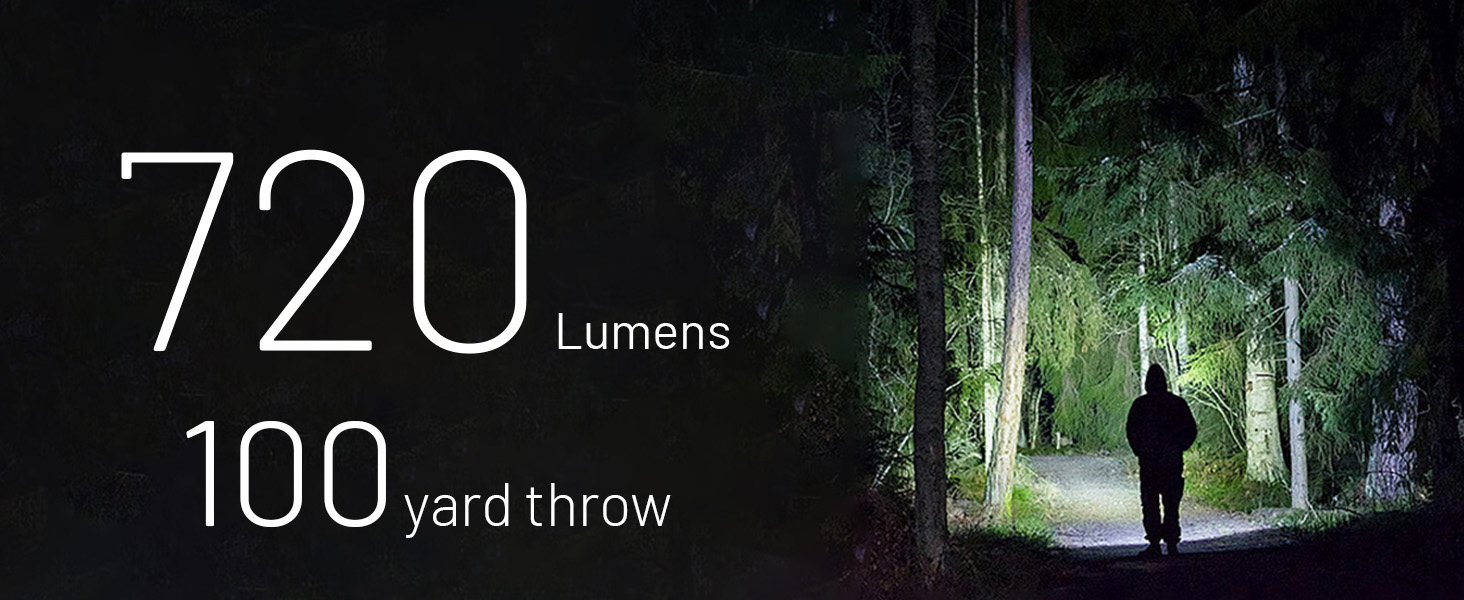 A person walking at night along a wooded path