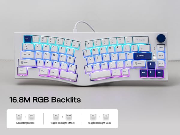 Alice80 Blue