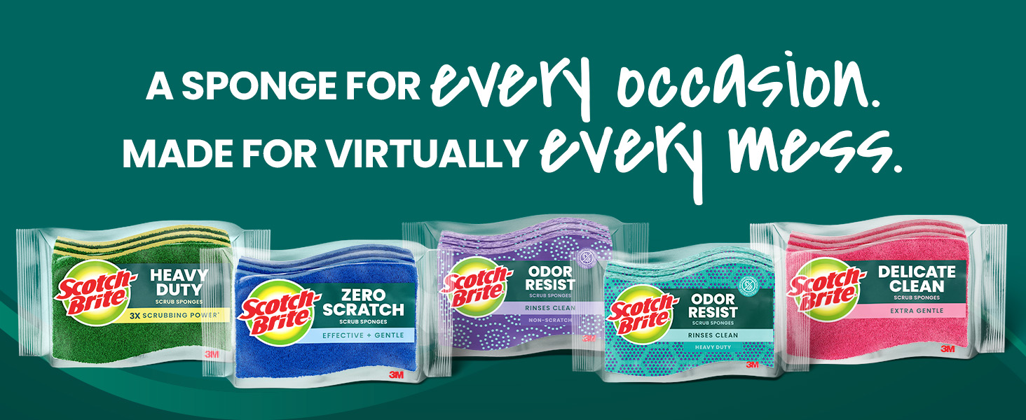 a sponge for every occasion made for virtually every mess