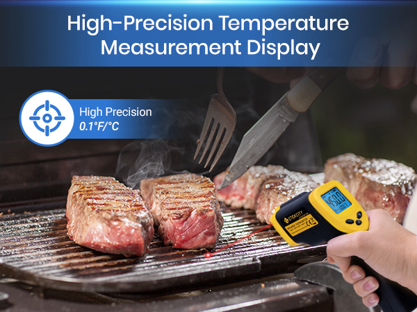High-Precision Temperature Measurement Display
