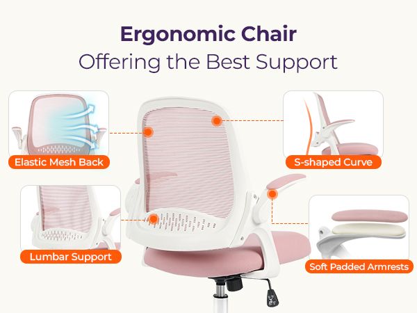 Ergonomic Chair with Comprehensive Support