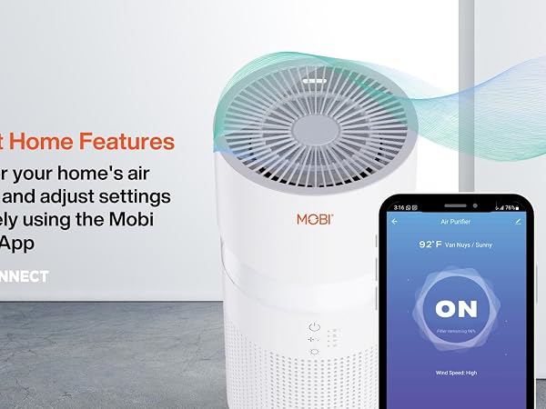 Smart Air Purifier