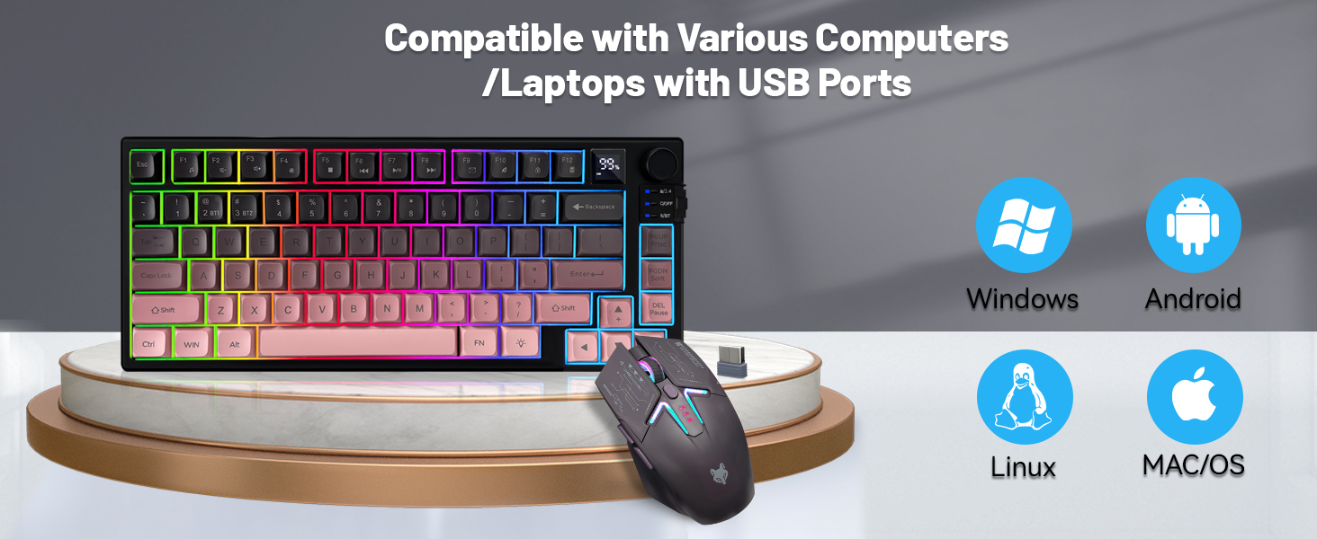 Compatible with Various Computers /Laptops with USB Ports