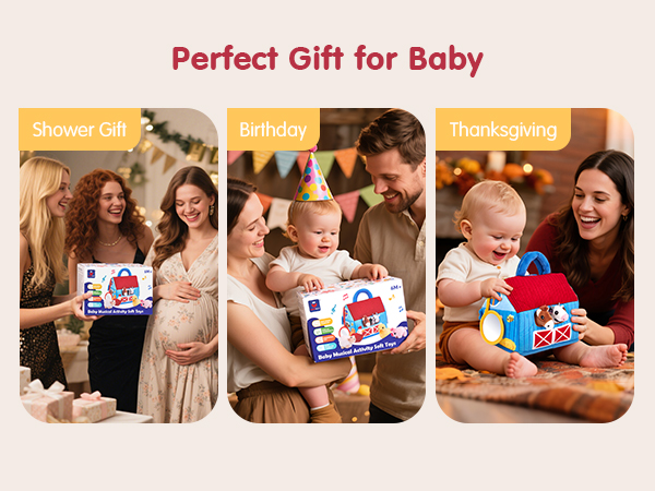 Baby Toys 6-12 Months