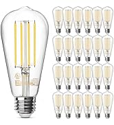 TJOY 24 Pack Vintage 8W ST58 LED Edison Light Bulbs, Dimmable, 60W Equivalent, 800Lumens, 2700K W...