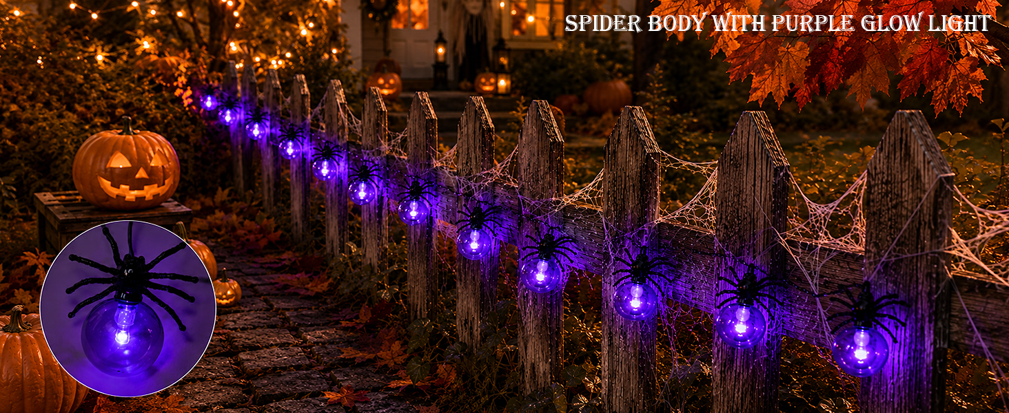 Design for Halloween Indoor &amp;amp; Outdoor Decoration