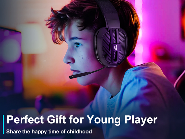 headset with microphone for pc