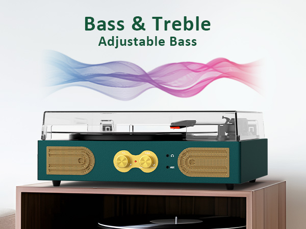 vinyl record player