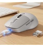 EWEADN Q1 Wireless Bluetooth Mouse, BT &amp; 2.4G Computer Mouse with Battery &amp; DPI LED Screen Displa...