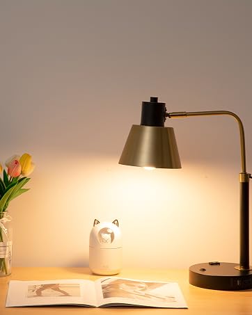 Desk Lamp with USB+Type C Port and AC Outlet, Table Lamp Adjustable Head