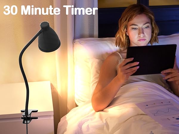 Desk Lamp Reading Light LED Clamp Lamp Flexible Gooseneck Clip on Light for Bed Bedside