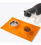 Cat Slow Feeder Bowl - Stainless Steel Cat Water Bowl &amp; Food-Grade Silicone Interactive Puzzle Fo...