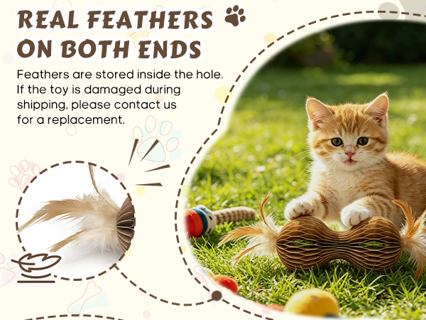 interactive cat toys