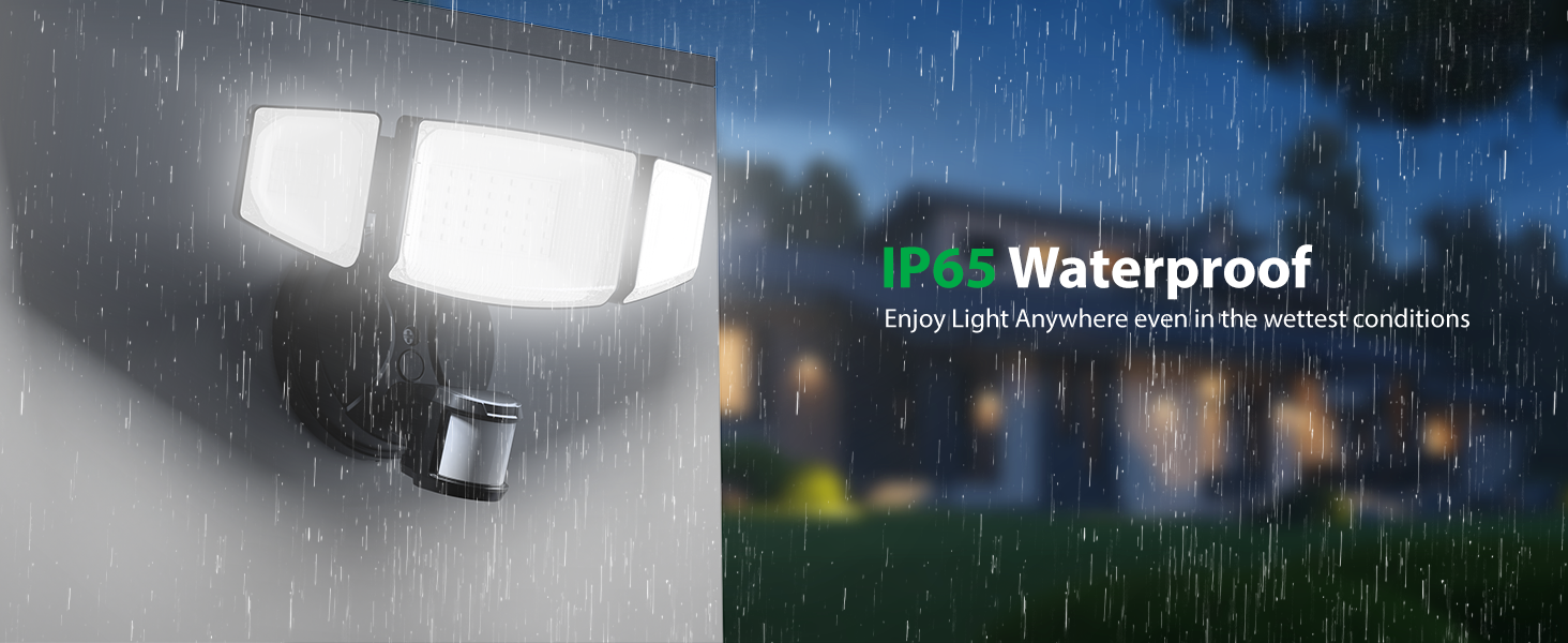 flood light with remote