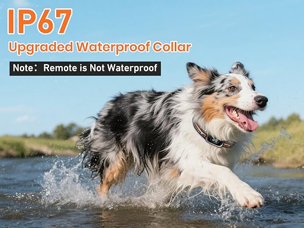e-collars for dogs automatic bark collar beep collar for dogs shock bark collar for dogs
