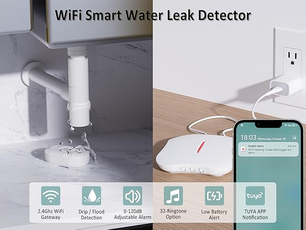 WiFi Water Leak Sensor
