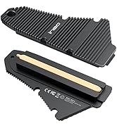 ineo PS5 Dust-Proof Heatsink, M.2 NVME SSD Heatsink for PS5 (not for PS5 Slim) Internal PCIe M.2 ...