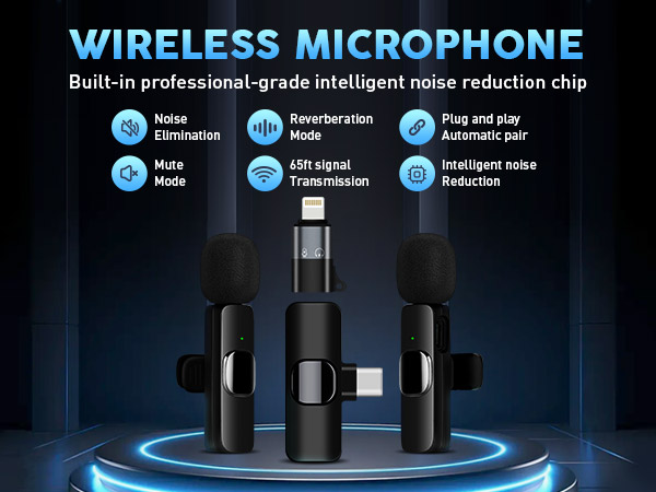 mini microphone