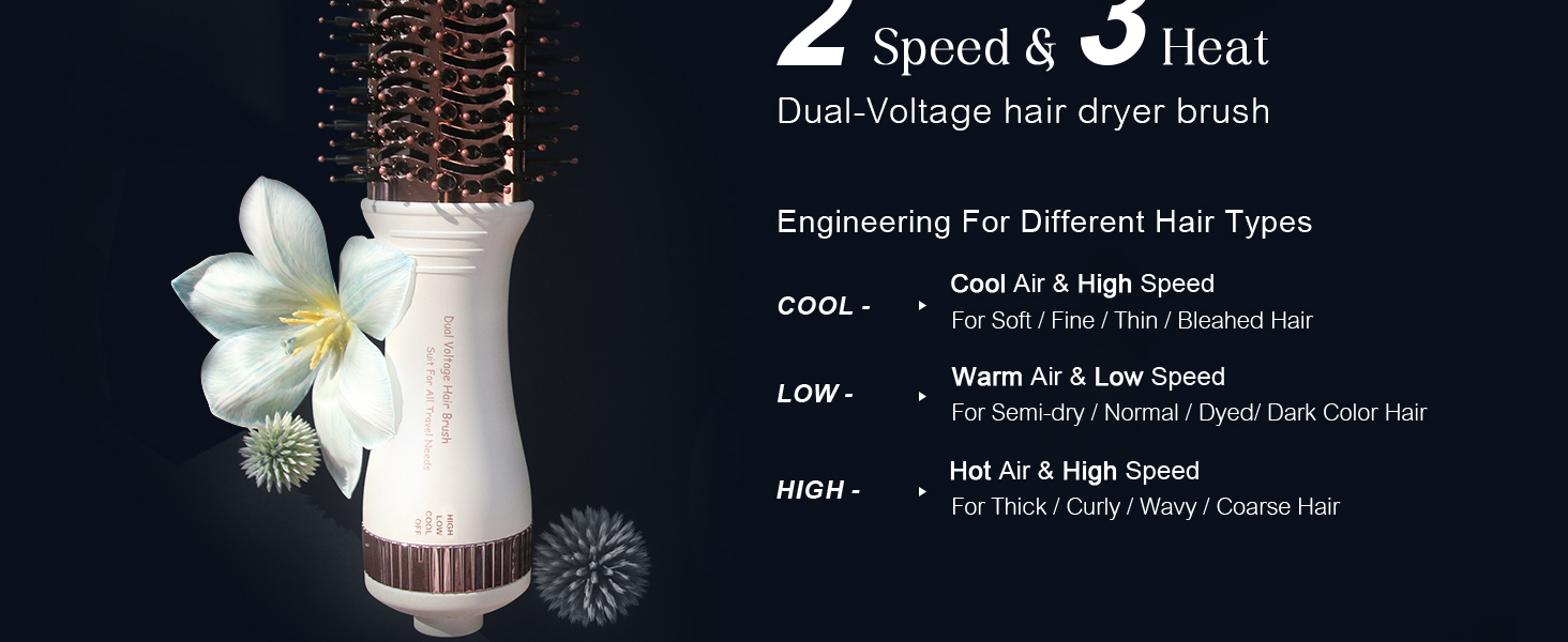 2 speed &amp;amp; 3 heat Dual Voltage Hair Dryer Brush