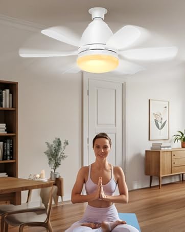 cordless ceiling fan ceiling fan screw in ceiling fan led light kit