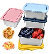 FRUIID 4-Pack Stainless Steel Snack Containers with Silicone Lids, 20oz Leakproof Food Storage Me...