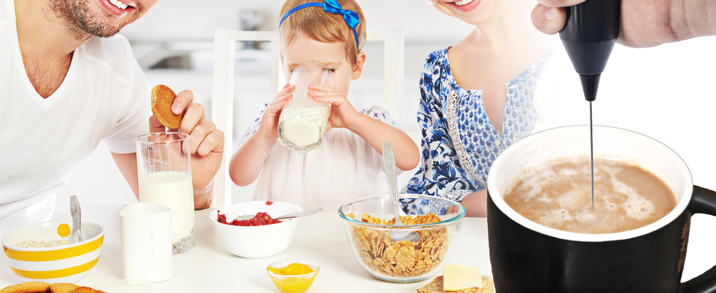Handheld Milk Frother