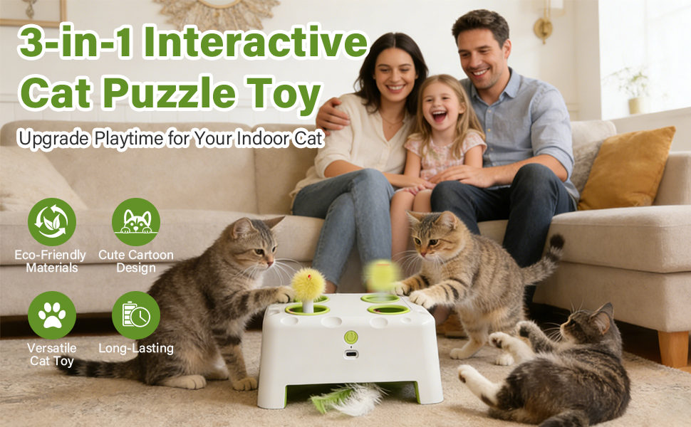 cat toy for door frame