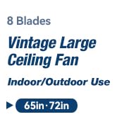 ceiling fan