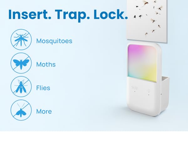 Fly Trap
