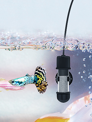 fish tank heater
