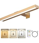 MIOBLUE Wireless Picture Lights with Remote, Recgargeable Battery Painting Light Display Lamp wit...