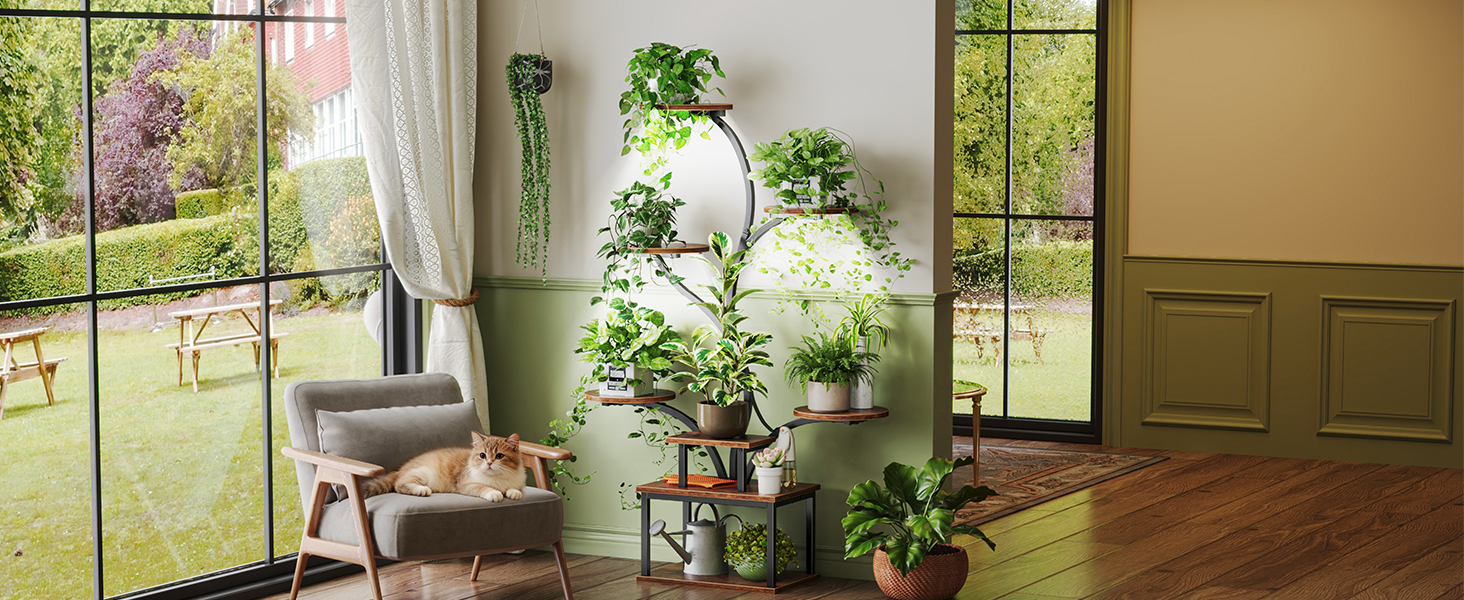 PLANT RACK
