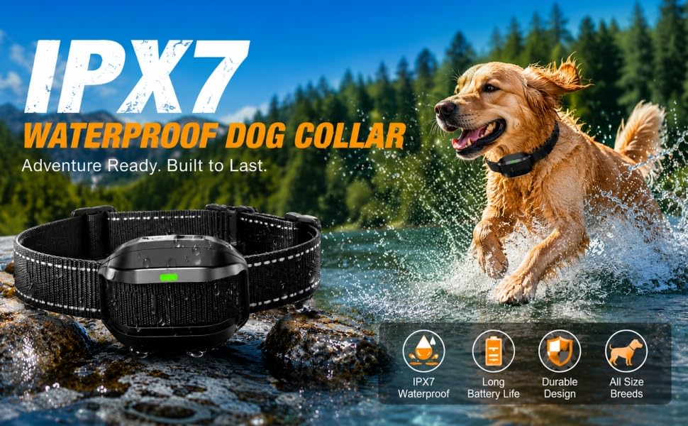 shock cllar for small dogs-4