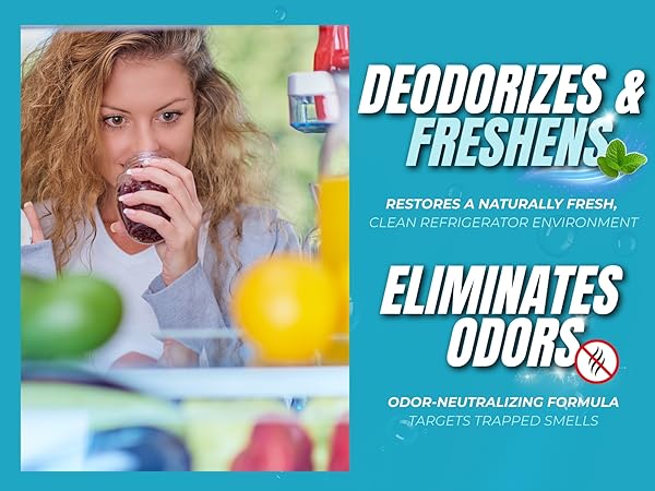 Fridge Cleaner refrigerator cleaner inside