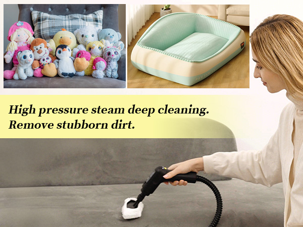 cleaning steamer handheld, car detailing steamer, best car detailing steam cleaner